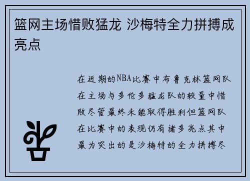 篮网主场惜败猛龙 沙梅特全力拼搏成亮点